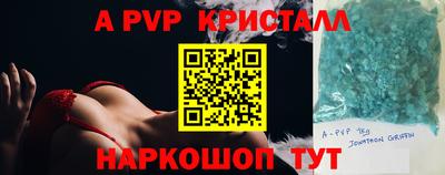 спиды Можга