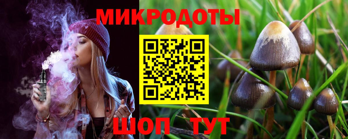 Галлюциногенные грибы Psilocybe  Вход с VPN  Жигулёвск 